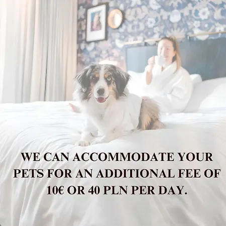 Lumina Bright Near łazienki Królewskie *